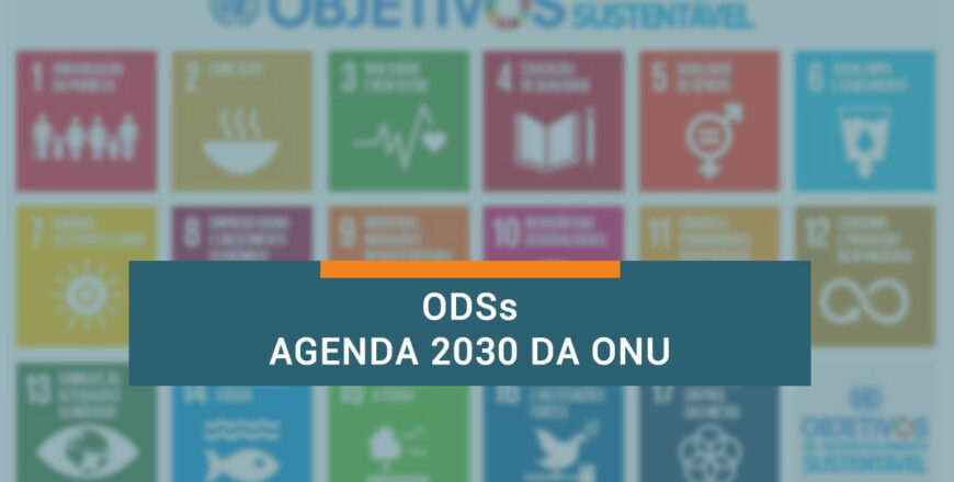 ODS Agenda 2030 da ONU – capacite.com.br