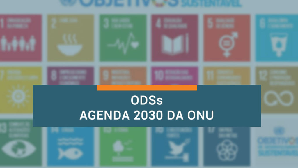 Curso ODS – Agenda 2030 da ONU – capacite.com.br